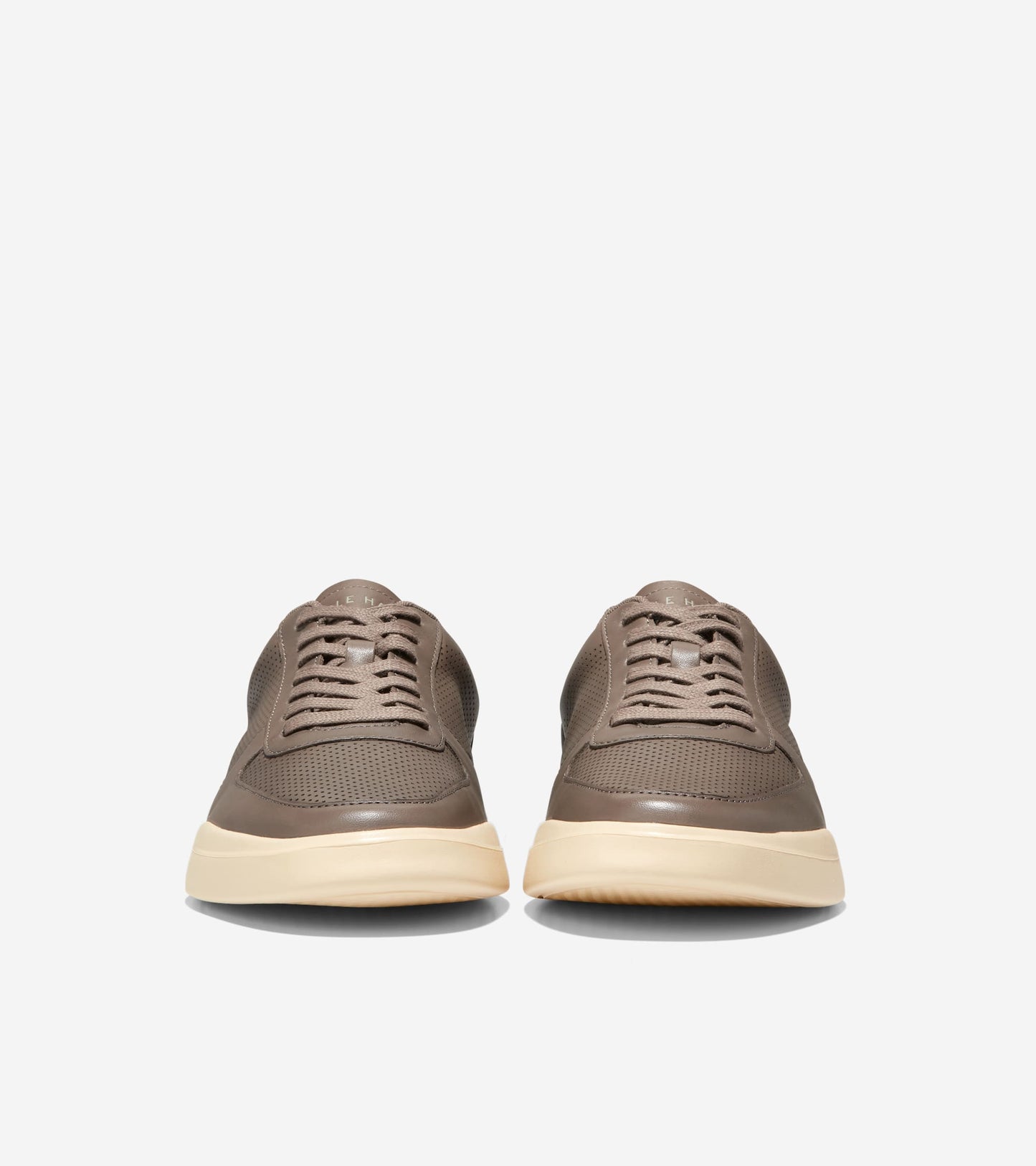 C37449:CH MOREL/CH OAT/SCARAB