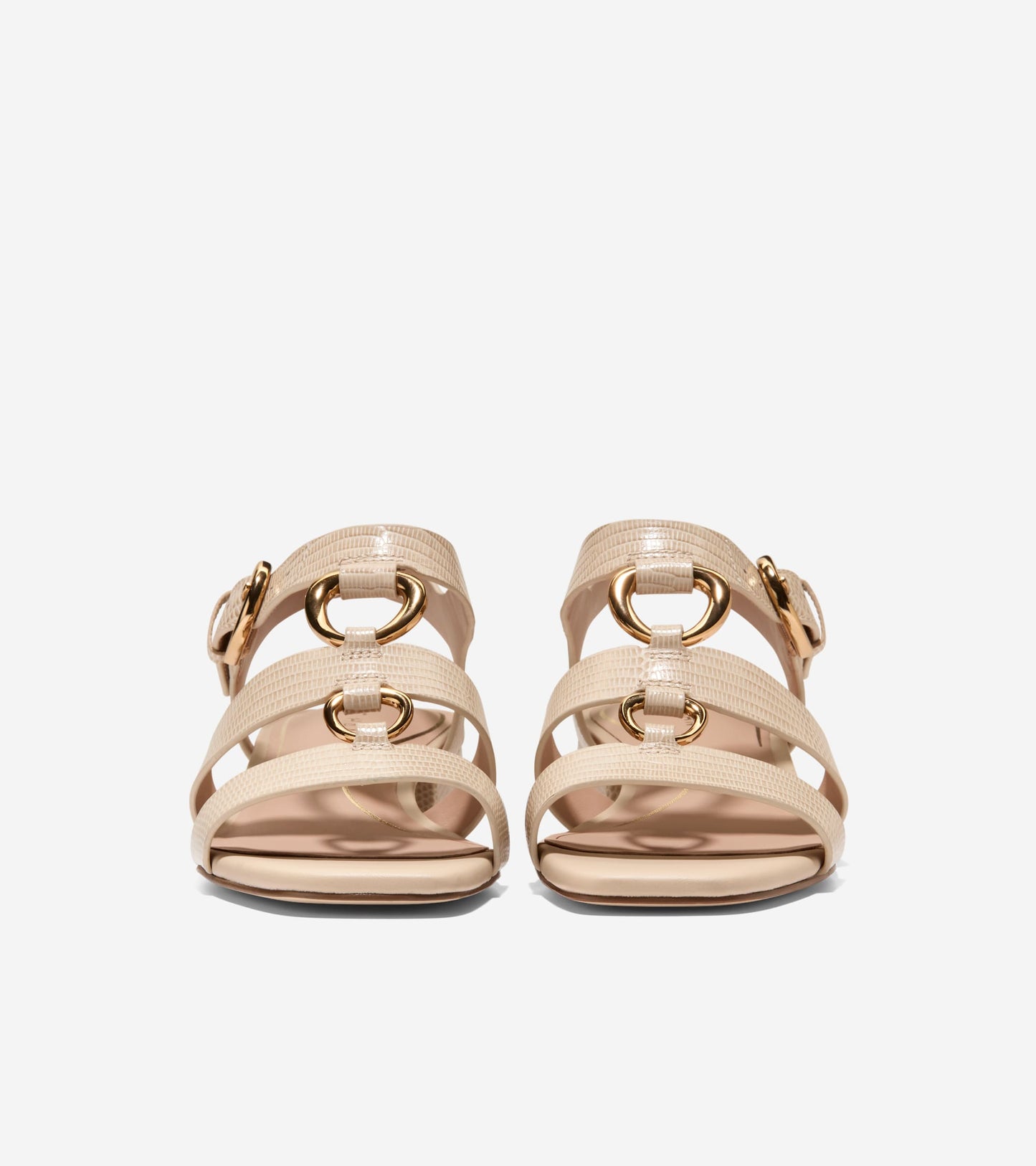 W32908:OAT LIZARD PRT LTR