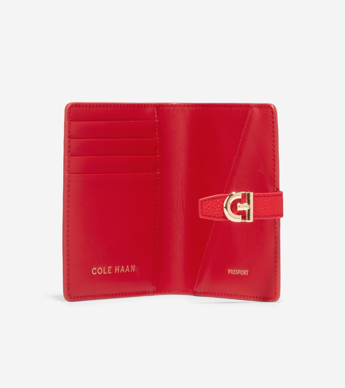U06884:GOJI BERRY:0000
