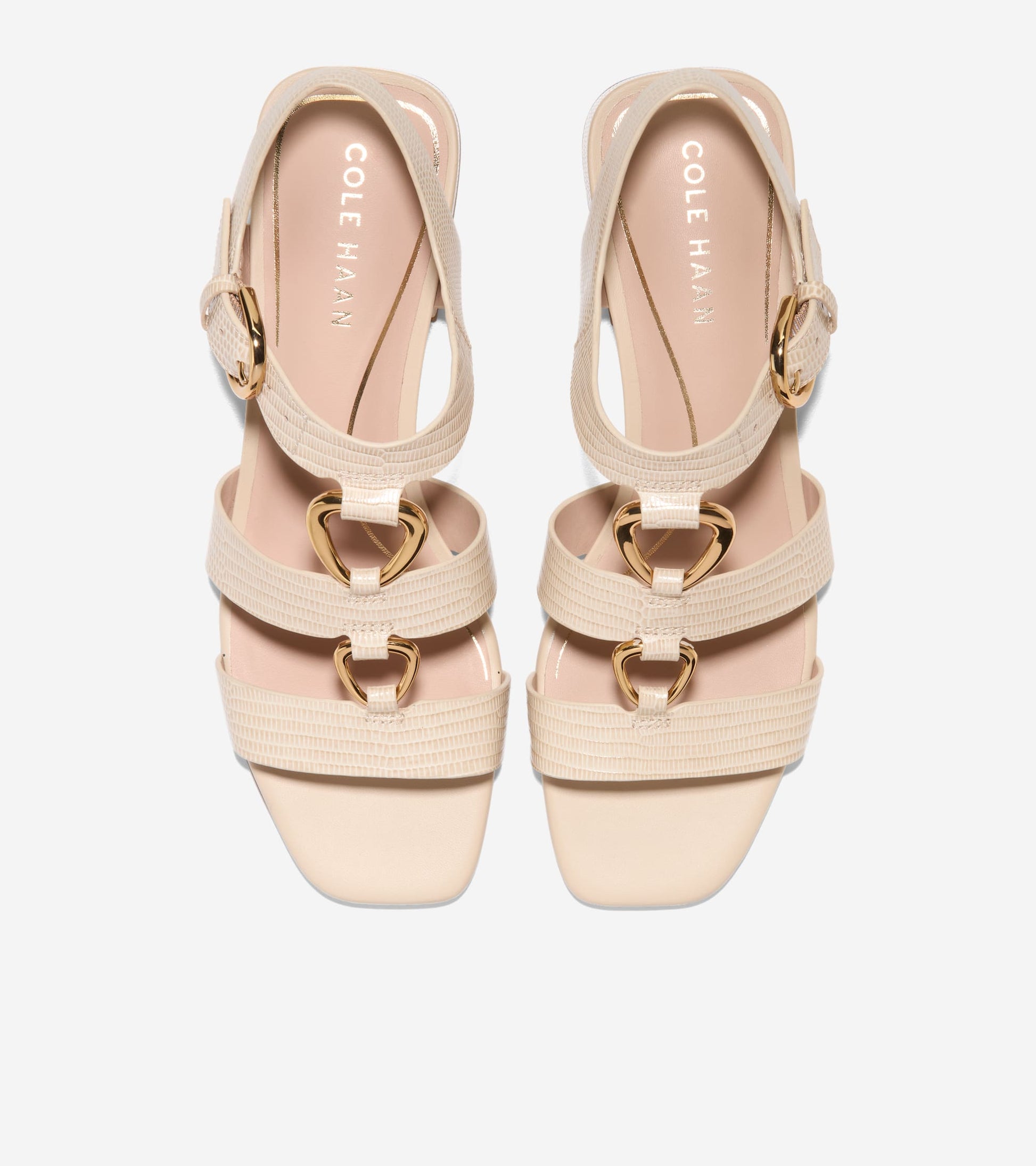 W32908:OAT LIZARD PRT LTR