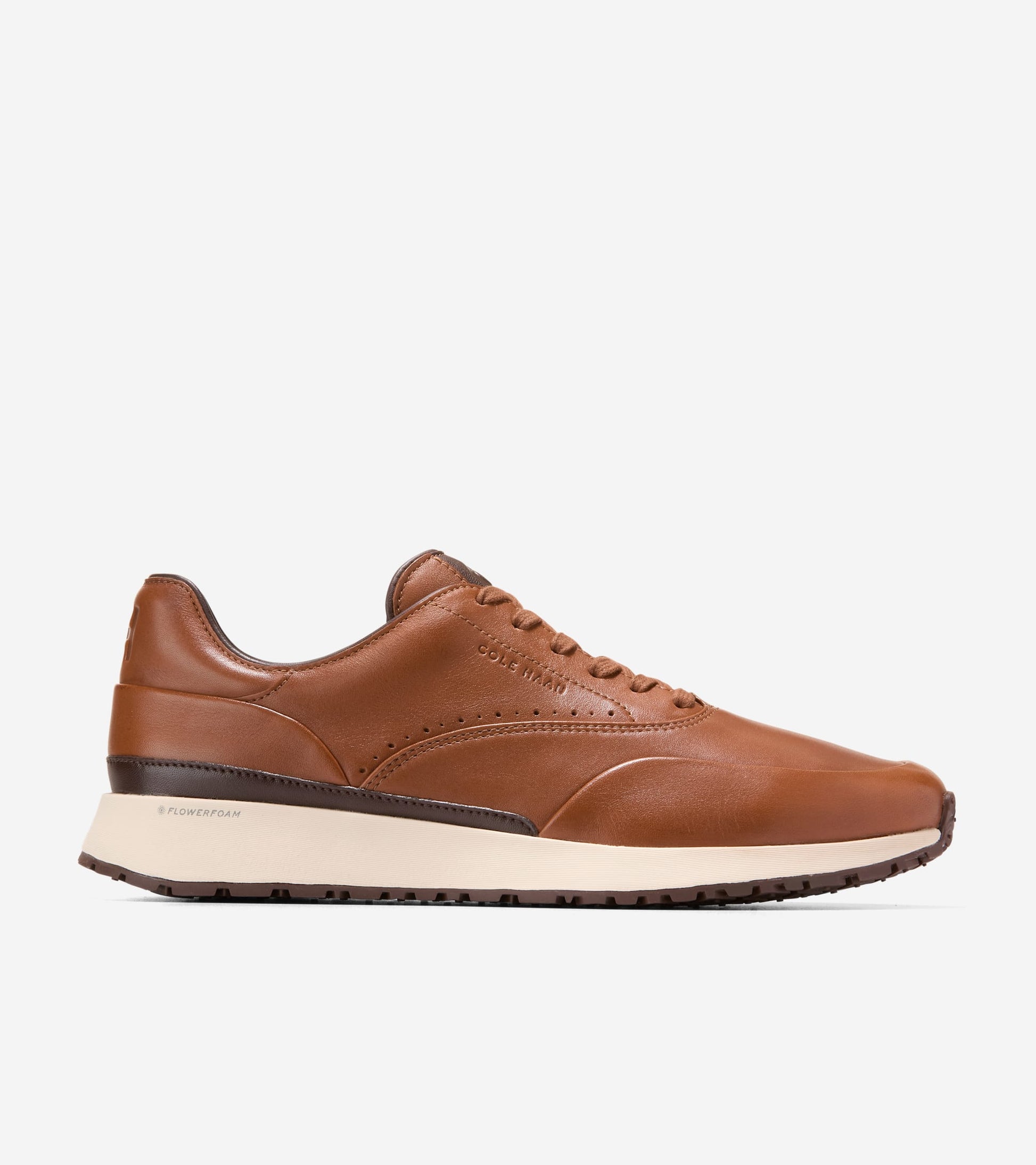 C43047:CH BRITISH TAN / CH MADEIRA / ANGORA