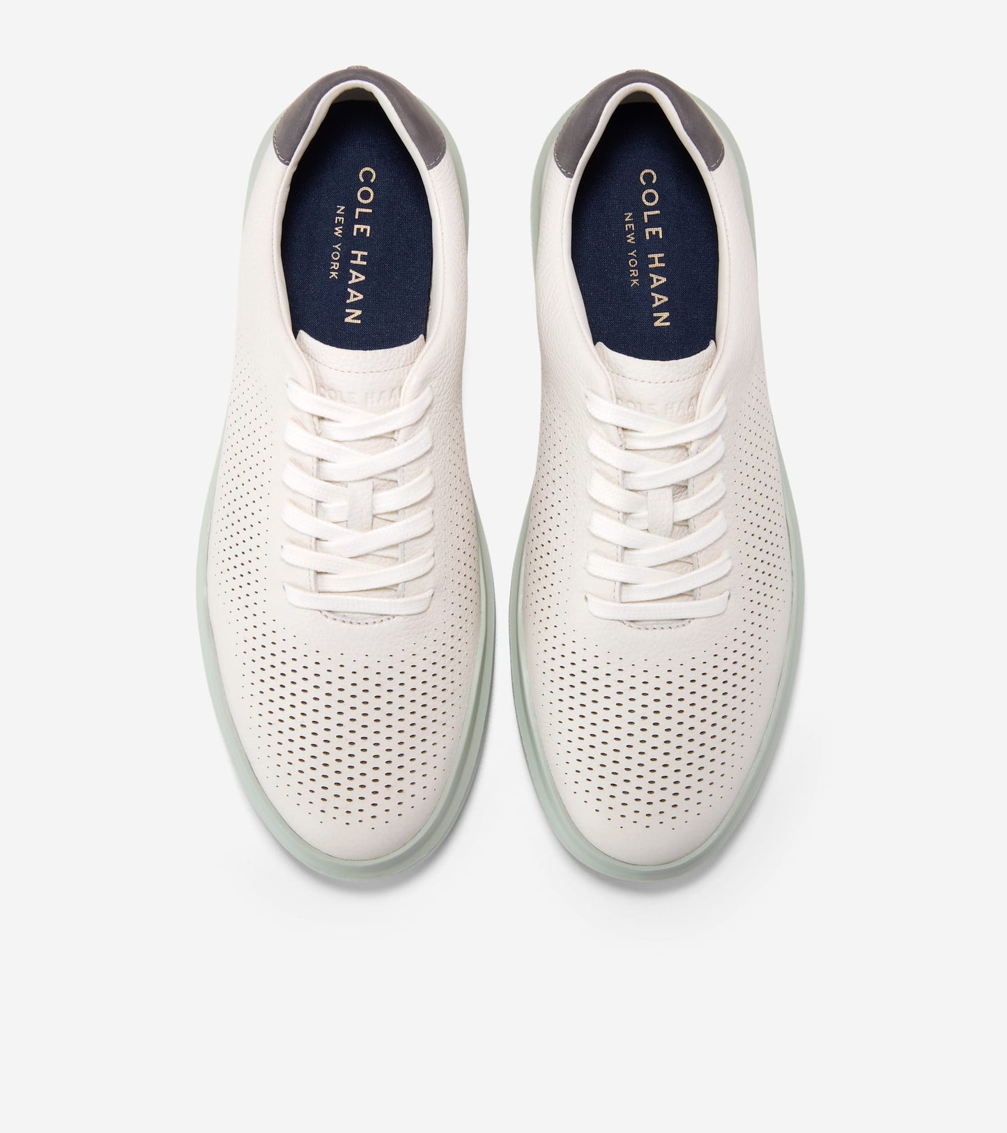 C45064:IVORY / CASTLEROCK / DESERT SAGE