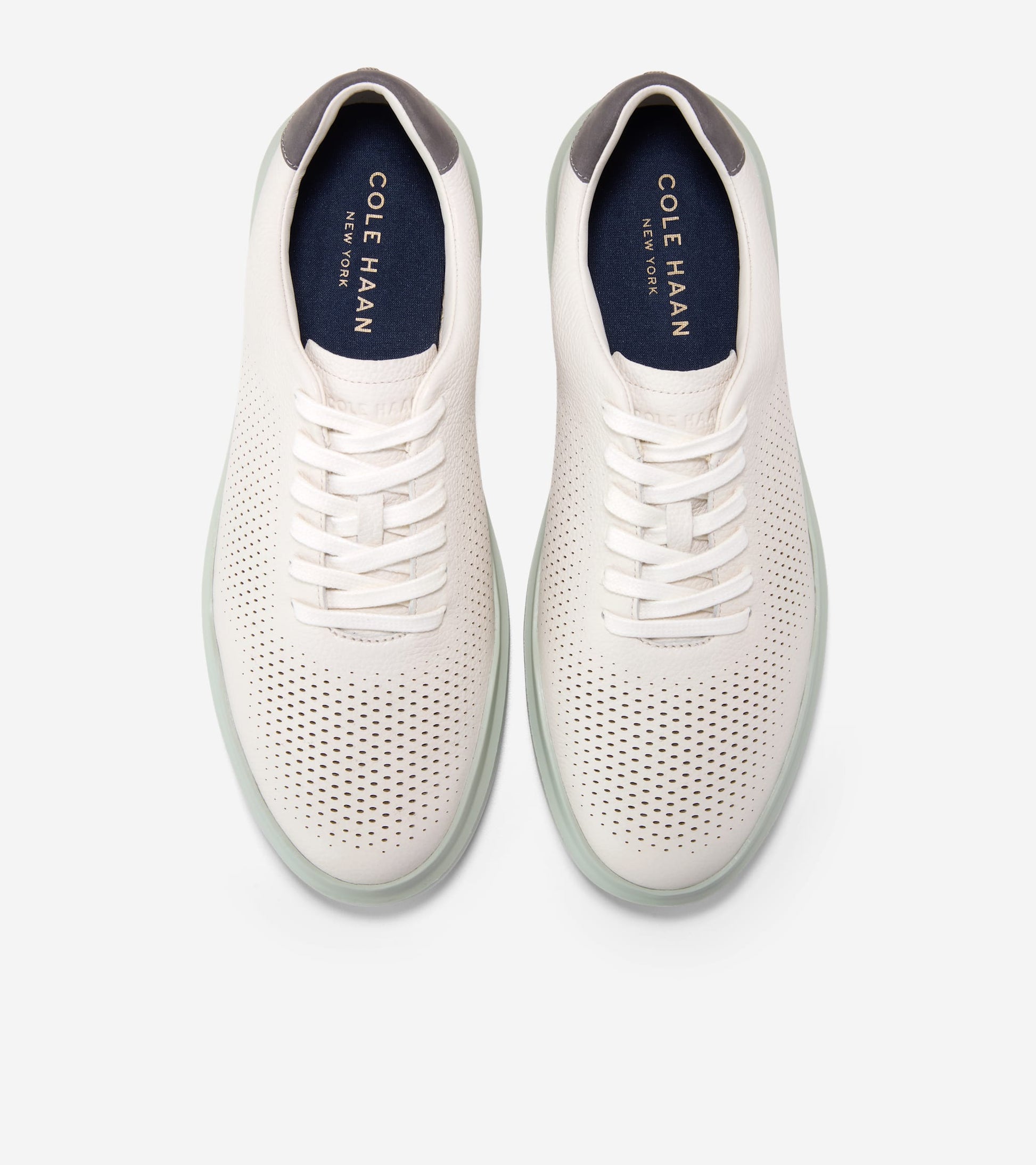 C45064:IVORY / CASTLEROCK / DESERT SAGE
