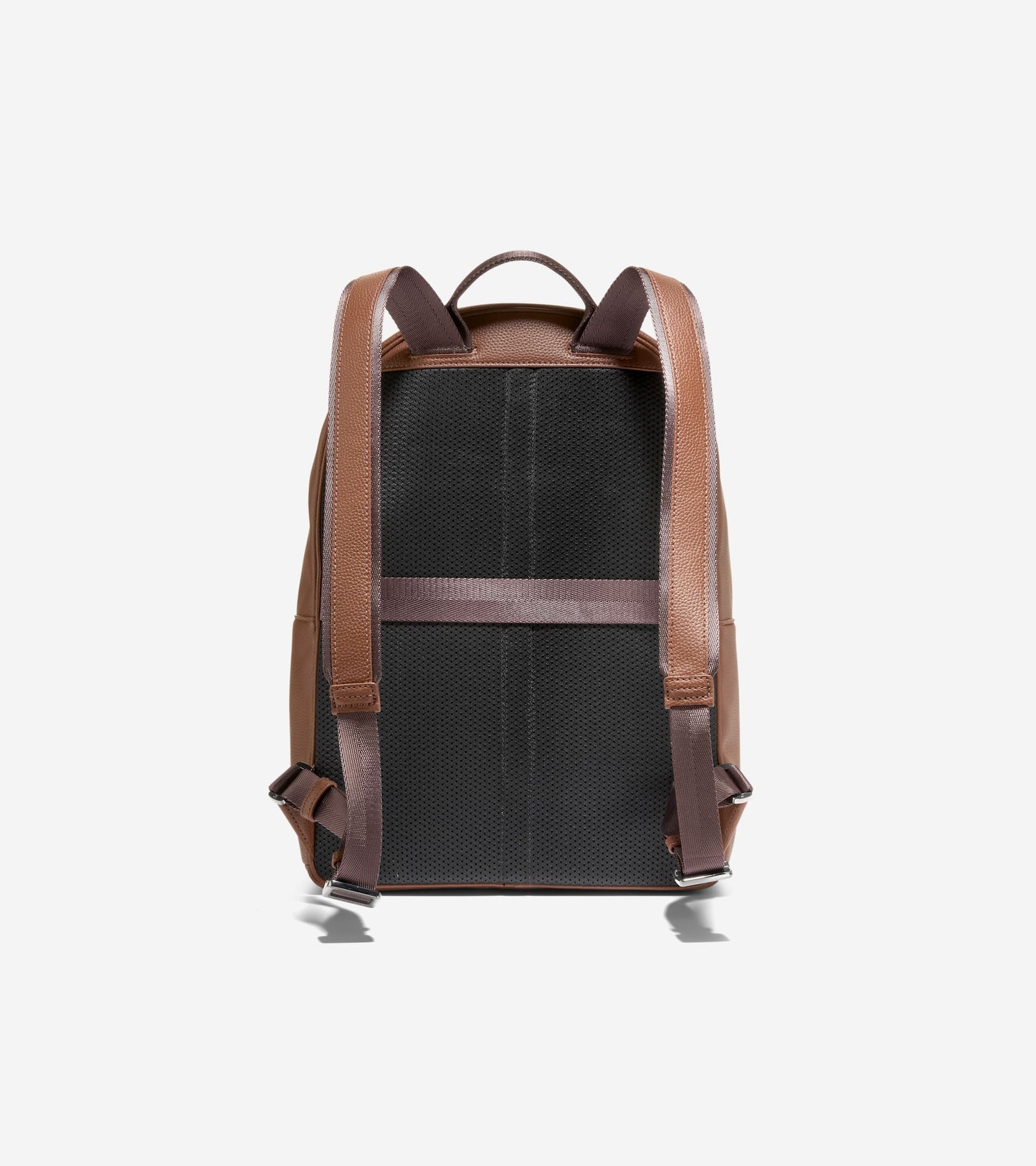 F12731:DARK SEQUOIA:0000